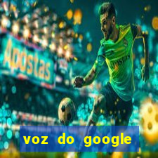 voz do google tradutor homem