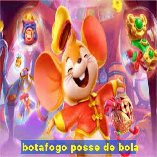 botafogo posse de bola