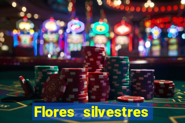 Flores silvestres brasileiras 25