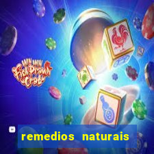 remedios naturais para diabetes