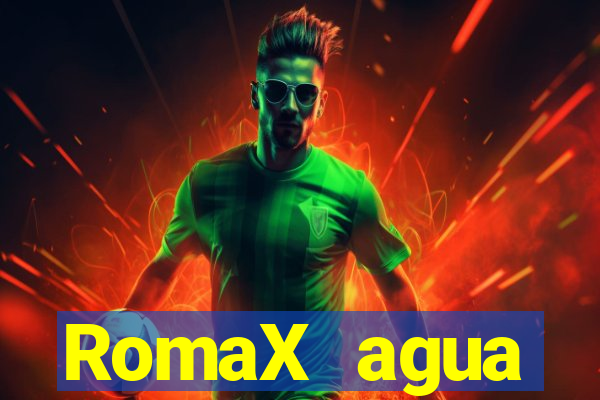 RomaX agua sanitaria fispq agua sanitaria romax