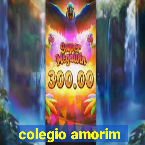 colegio amorim