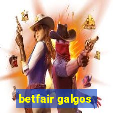 betfair galgos