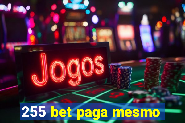 255 bet paga mesmo