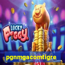 pgnmgacomtigre