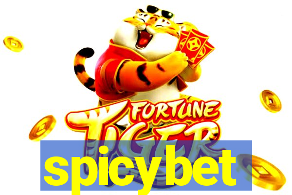 spicybet-2.com