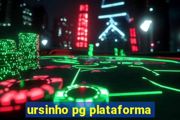 ursinho pg plataforma