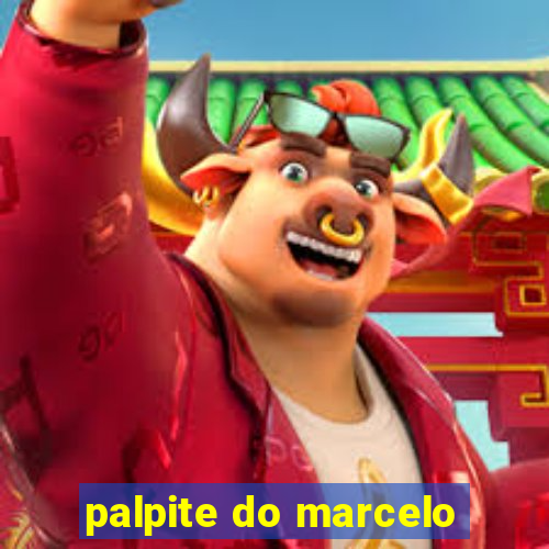 palpite do marcelo