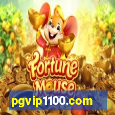 pgvip1100.com